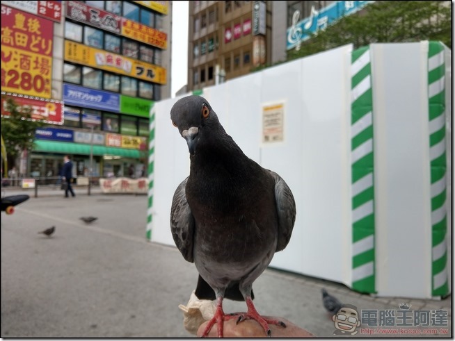 HTC U11 樣張 - 096 HTC U11 樣張 - 096