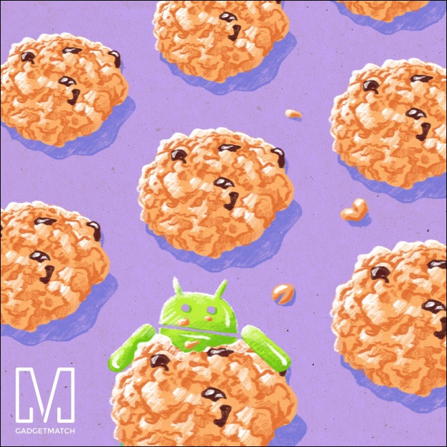 Oatmeal Cookie Oatmeal Cookie