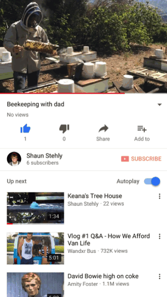 1.gif 1