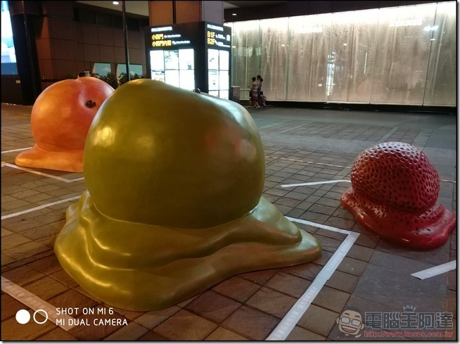 小米6 拍照樣張 -41 小米6 拍照樣張 -41