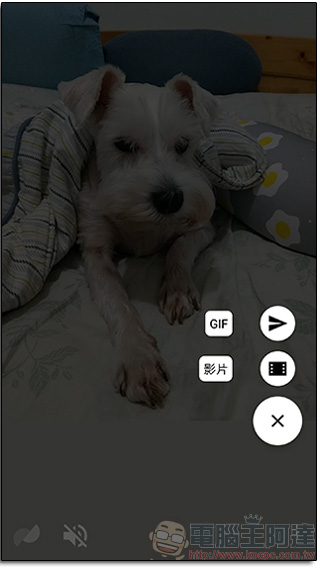 Google Motion Stills 登上 Android，直接用手機拍出 GIF 檔，還內建智慧穩定器 - 電腦王阿達