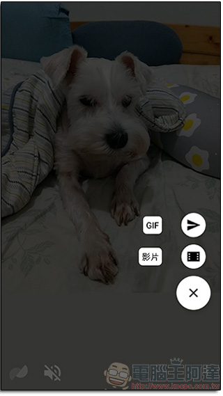 Google Motion Stills 登上 Android,直接用手機拍出 GIF 檔,還內建智慧穩定器 - 電腦王阿達 Google Motion Stills 登上 Android,直接用手機拍出 GIF 檔,還內建智慧穩定器 - 電腦王阿達
