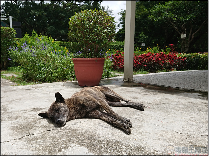 夏日輕旅行說走就走,我與 Sony Xperia XZ Premium 的周末小渡假 - 電腦王阿達 夏日輕旅行說走就走,我與 Sony Xperia XZ Premium 的周末小渡假 - 電腦王阿達