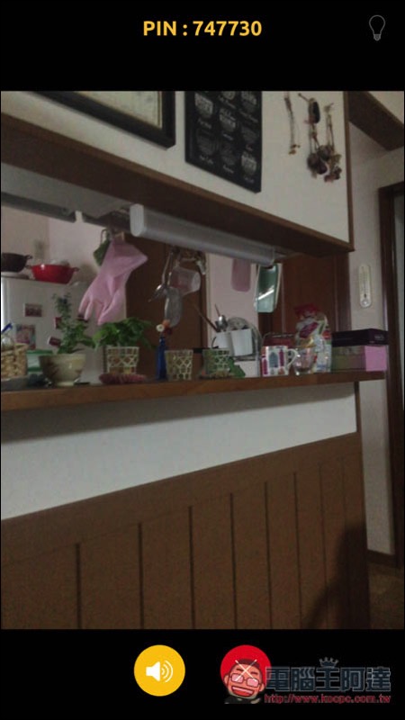 IMG_8546.jpg IMG 8546