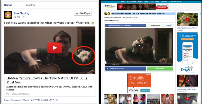 Facebook 更新 演算法，將判斷為偽裝影片的文章跟只有靜態畫面的影片進行隱藏 - 電腦王阿達