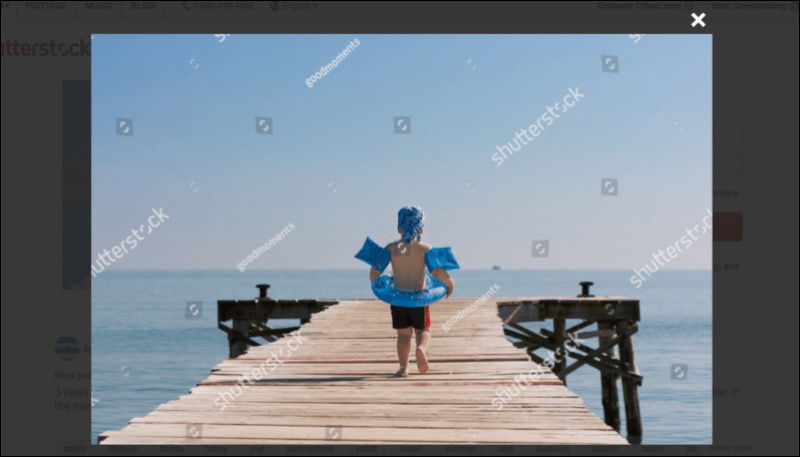 Shutterstock Shutterstock