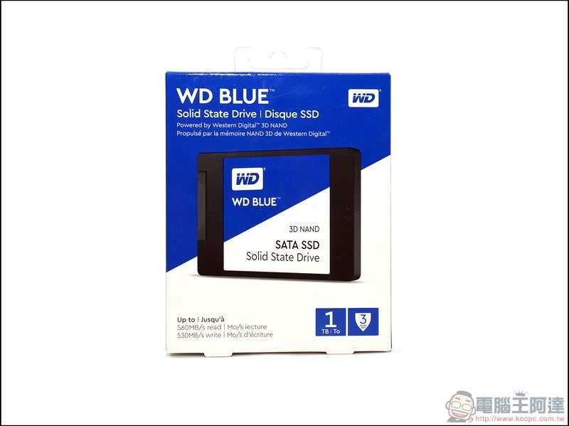 WD BLUE 3D NAND SSD WDS100T2B0A -01