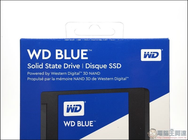 WD BLUE 3D NAND SSD WDS100T2B0A -02