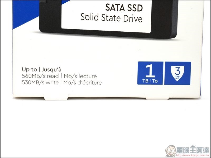 WD BLUE 3D NAND SSD WDS100T2B0A -03