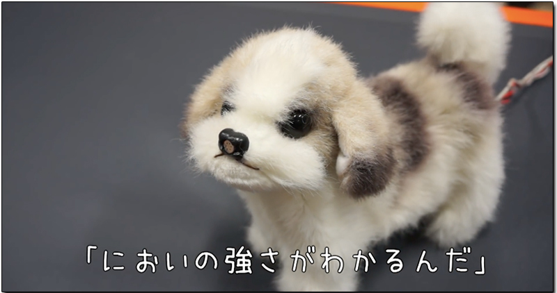 日本廠商發表可偵測氣味的 機器狗 ，以跌倒表示強烈腳臭 - 電腦王阿達