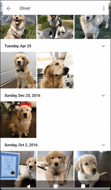 Google Photo 面部辨識進化,毛小孩也認得出來 - 電腦王阿達 Google Photo 面部辨識進化,毛小孩也認得出來 - 電腦王阿達