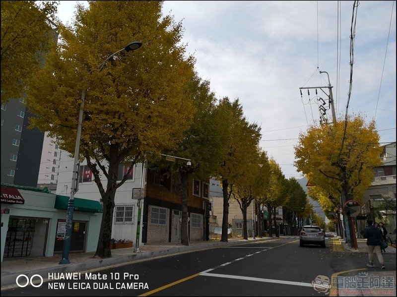 HUAWEI Mate 10 Pro 拍攝樣張 - 004 HUAWEI Mate 10 Pro 拍攝樣張 - 004