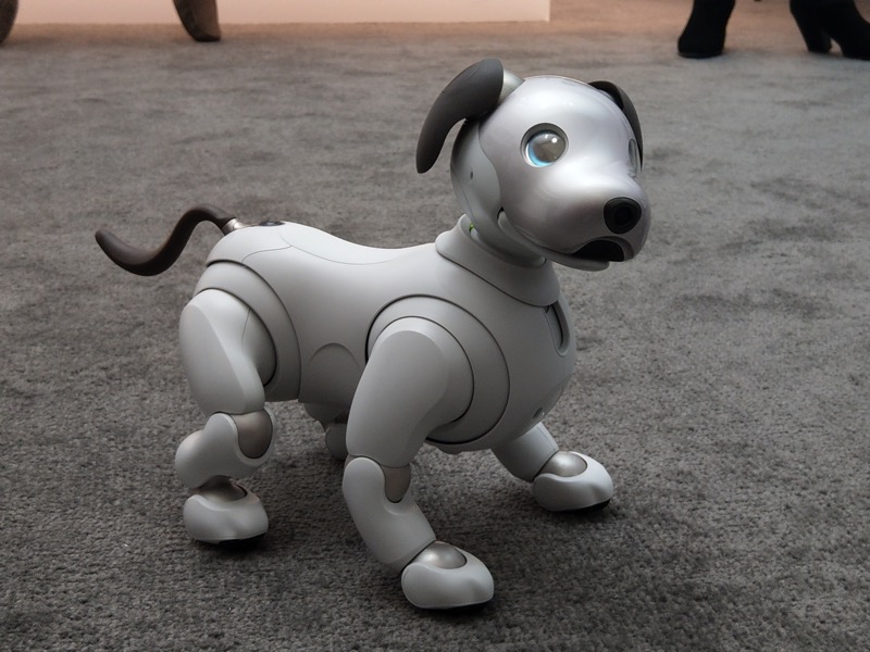 比 SONY aibo 還狂的 Boston Dynamics 機器狗 確認將開賣（驚） - 電腦王阿達