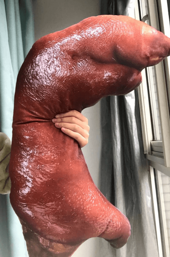 過年如何送禮? 就你了巨大豬蹄抱枕?原來美食獵人是真的 - 電腦王阿達 過年如何送禮? 就你了巨大豬蹄抱枕?原來美食獵人是真的 - 電腦王阿達