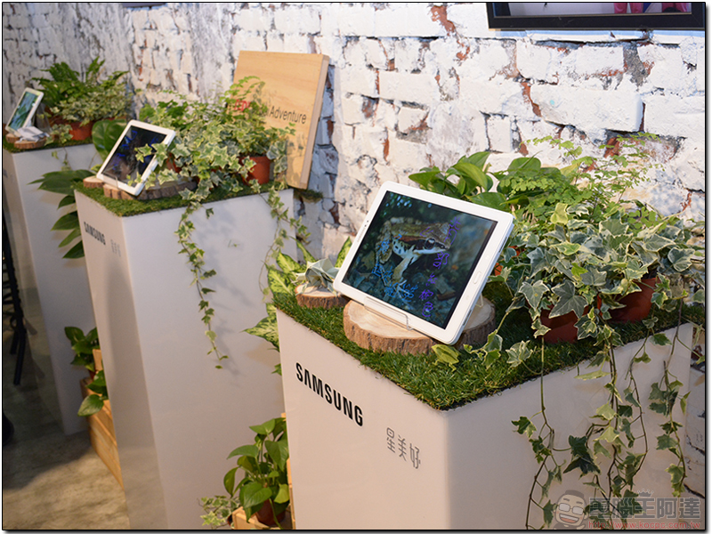 Samsung 攜手 TEDxTaipei 展示「 聽蛙講。跟蛙走 」,打造台灣在地教育 - 電腦王阿達 Samsung 攜手 TEDxTaipei 展示「 聽蛙講。跟蛙走 」,打造台灣在地教育 - 電腦王阿達