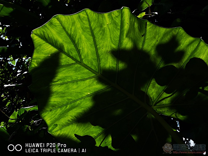 HUAWEI P20 Pro 開箱 、評測、評價:勾動攝影魂的美型旗艦 - 電腦王阿達 HUAWEI P20 Pro 開箱 、評測、評價:勾動攝影魂的美型旗艦 - 電腦王阿達