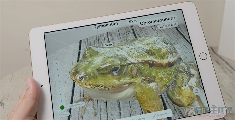Apple iPad (2018) 開箱體驗:親民價格就有 Pro 創作力 - 電腦王阿達 Apple iPad (2018) 開箱體驗:親民價格就有 Pro 創作力 - 電腦王阿達
