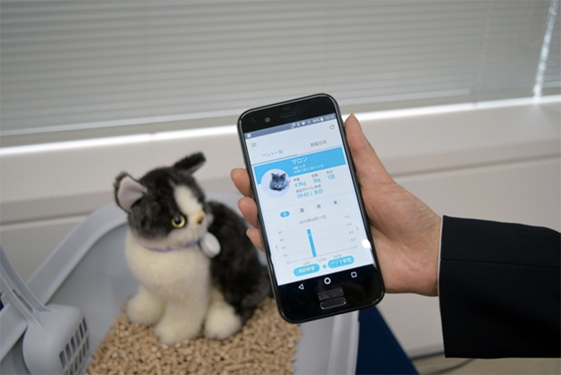 SHARP 進軍寵物市場在日推出 IoT 貓砂盆，控管主子們的排泄狀況 - 電腦王阿達