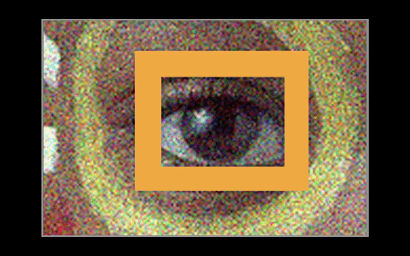 NVIDIA 開發 AI 降噪系統 Noise2Noise ,輕易消除照片雜訊變清晰! - 電腦王阿達 NVIDIA 開發 AI 降噪系統 Noise2Noise ,輕易消除照片雜訊變清晰! - 電腦王阿達