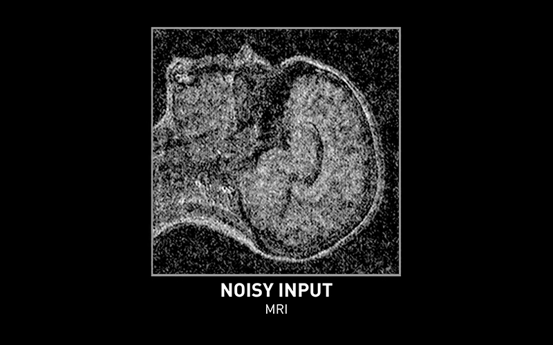 NVIDIA 開發 AI 降噪系統 Noise2Noise ，輕易消除照片雜訊變清晰！ - 電腦王阿達