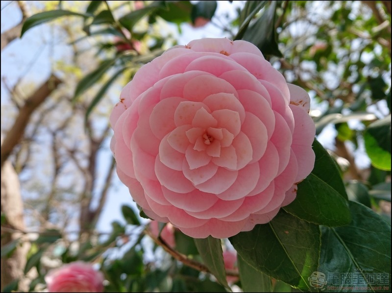 nEO_IMG_井之頭公園 (1) nEO_IMG_井之頭公園 (1)