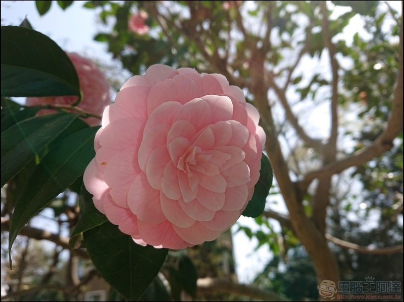 nEO_IMG_井之頭公園 (2) nEO_IMG_井之頭公園 (2)