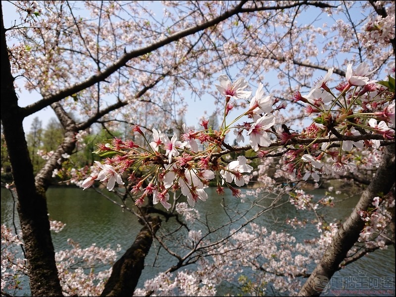 nEO_IMG_井之頭公園 (3) nEO_IMG_井之頭公園 (3)