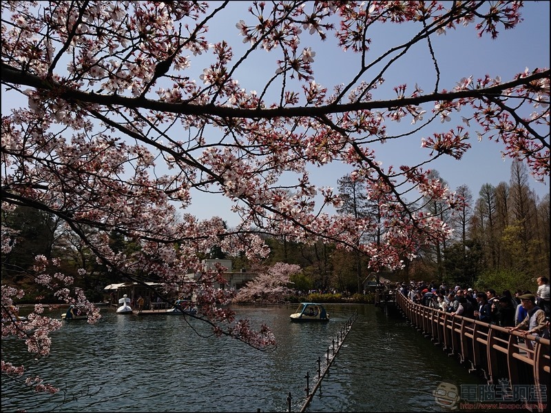 nEO_IMG_井之頭公園 (4) nEO_IMG_井之頭公園 (4)