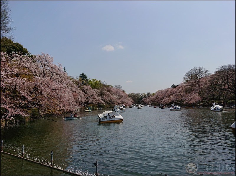 nEO_IMG_井之頭公園 (5) nEO_IMG_井之頭公園 (5)