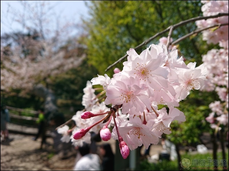 nEO_IMG_井之頭公園 (13) nEO_IMG_井之頭公園 (13)