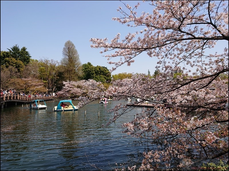 nEO_IMG_井之頭公園 (14) nEO_IMG_井之頭公園 (14)