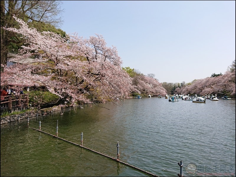 nEO_IMG_井之頭公園 (15) nEO_IMG_井之頭公園 (15)