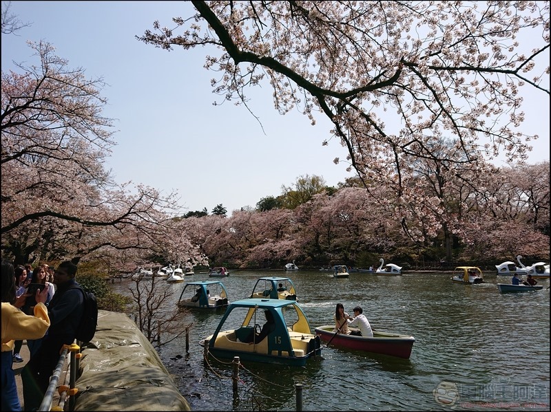nEO_IMG_井之頭公園 (16) nEO_IMG_井之頭公園 (16)