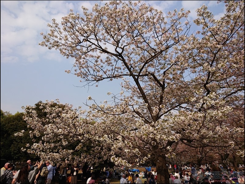 nEO_IMG_代代木公園 (4) nEO_IMG_代代木公園 (4)