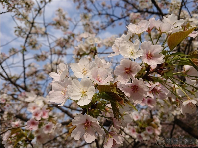 nEO_IMG_代代木公園 (5) nEO_IMG_代代木公園 (5)