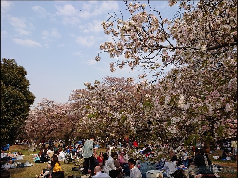 nEO_IMG_代代木公園 (6) nEO_IMG_代代木公園 (6)