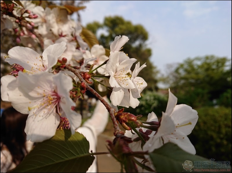 nEO_IMG_代代木公園 (7) nEO_IMG_代代木公園 (7)