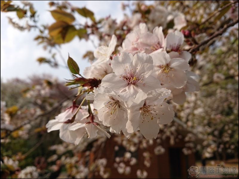 nEO_IMG_代代木公園 (8) nEO_IMG_代代木公園 (8)