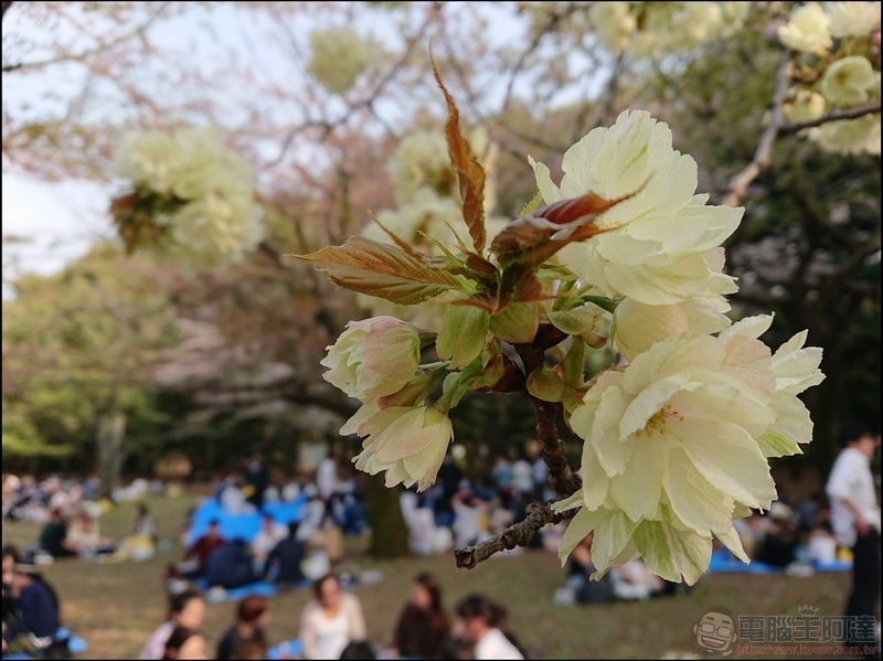 nEO_IMG_代代木公園 (9) nEO_IMG_代代木公園 (9)