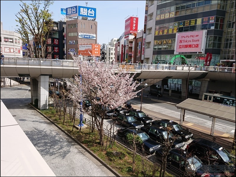 nEO_IMG_根川綠道 (2) nEO_IMG_根川綠道 (2)