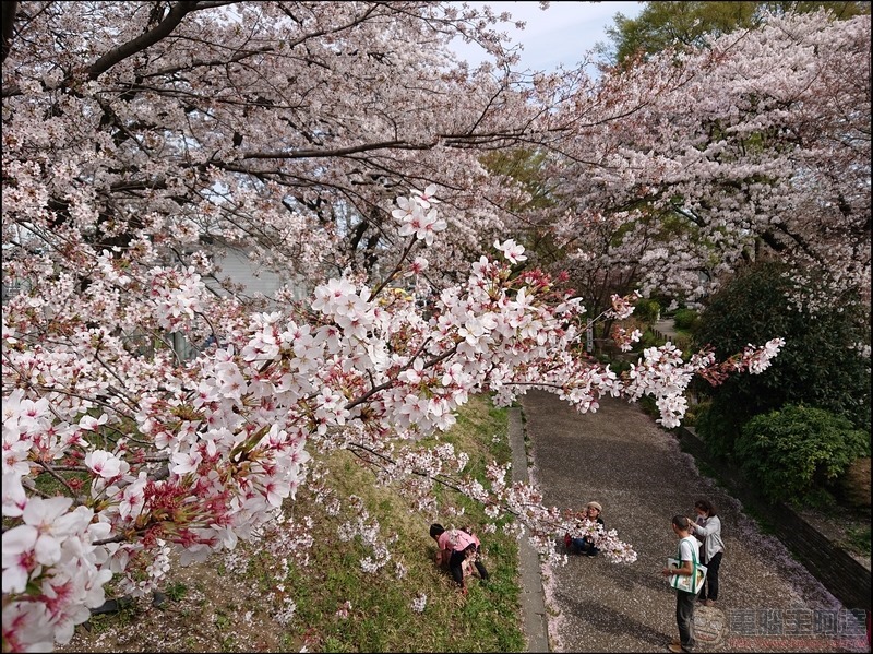nEO_IMG_根川綠道 (4) nEO_IMG_根川綠道 (4)