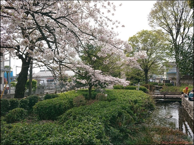 nEO_IMG_根川綠道 (6) nEO_IMG_根川綠道 (6)
