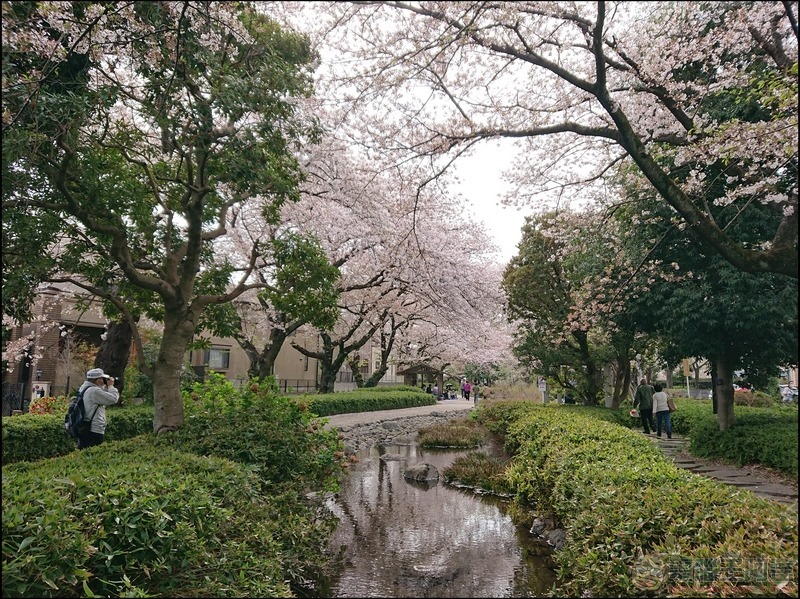 nEO_IMG_根川綠道 (7) nEO_IMG_根川綠道 (7)