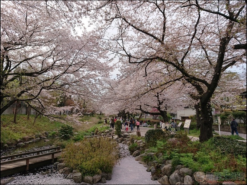 nEO_IMG_根川綠道 (11) nEO_IMG_根川綠道 (11)
