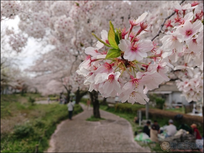 nEO_IMG_根川綠道 (12) nEO_IMG_根川綠道 (12)