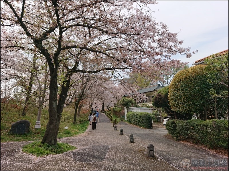 nEO_IMG_根川綠道 (14) nEO_IMG_根川綠道 (14)