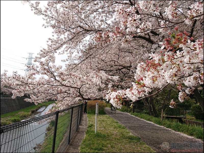 nEO_IMG_根川綠道 (19) nEO_IMG_根川綠道 (19)