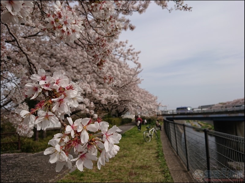 nEO_IMG_根川綠道 (20) nEO_IMG_根川綠道 (20)