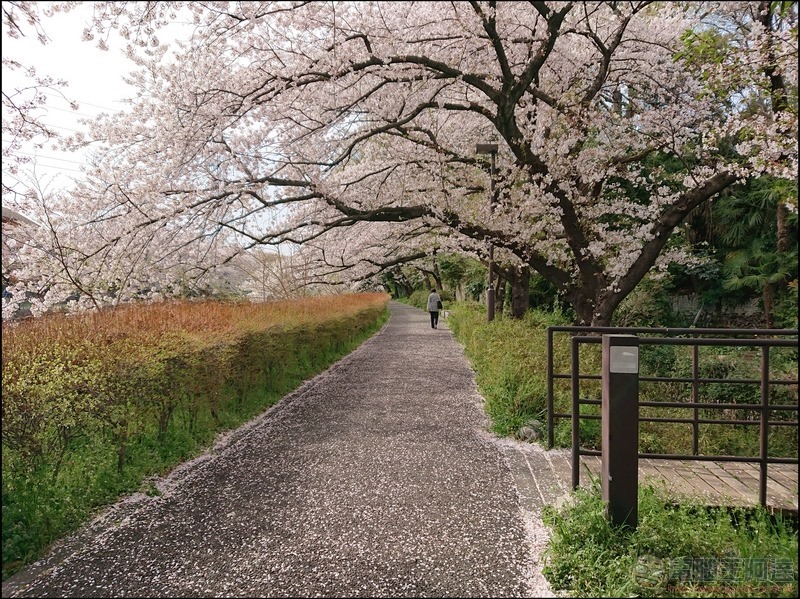nEO_IMG_根川綠道 (21) nEO_IMG_根川綠道 (21)
