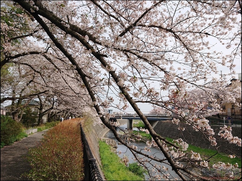 nEO_IMG_根川綠道 (22) nEO_IMG_根川綠道 (22)